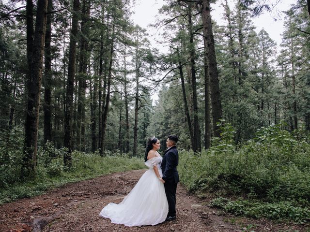 La boda de Carlos y Daniela en Cuautitlán Izcalli, Estado México 2