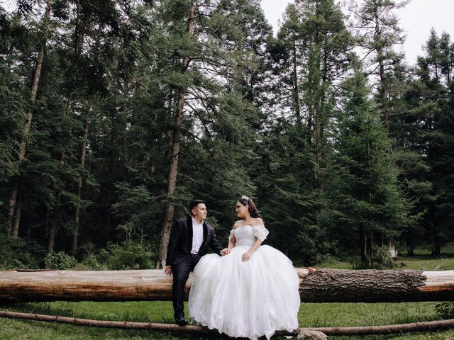 La boda de Carlos y Daniela en Cuautitlán Izcalli, Estado México 111