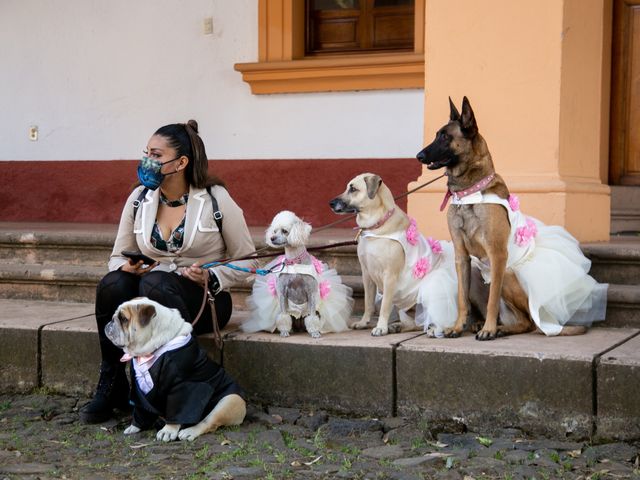 La boda de Marco y Brisa en Pátzcuaro, Michoacán 34