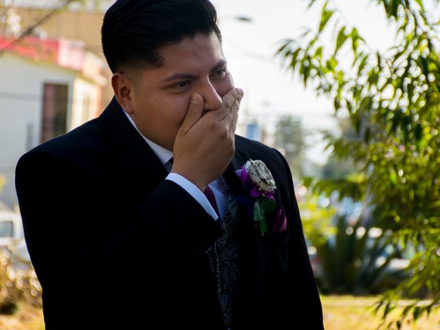 La boda de Andrés y Ana Paulina en Iztapalapa, Ciudad de México 39