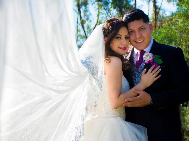 La boda de Andrés y Ana Paulina en Iztapalapa, Ciudad de México 42
