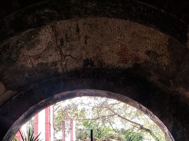 La boda de Diego y Carolina en Cuernavaca, Morelos 7