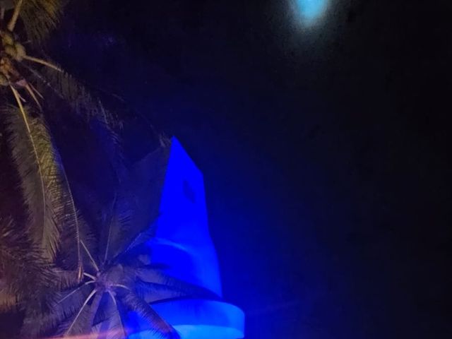 La boda de Vicente  y Lilia en Manzanillo, Colima 14
