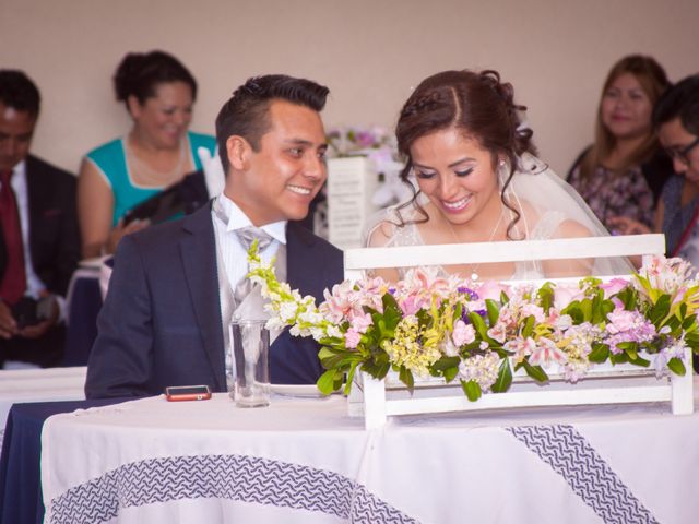 La boda de Erik y Karen en Xochimilco, Ciudad de México 36