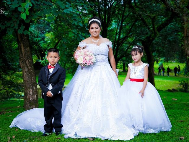 La boda de Luis  y Brenda  en Uruapan, Michoacán 12