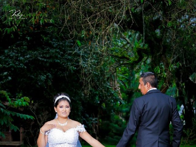 La boda de Luis  y Brenda  en Uruapan, Michoacán 18