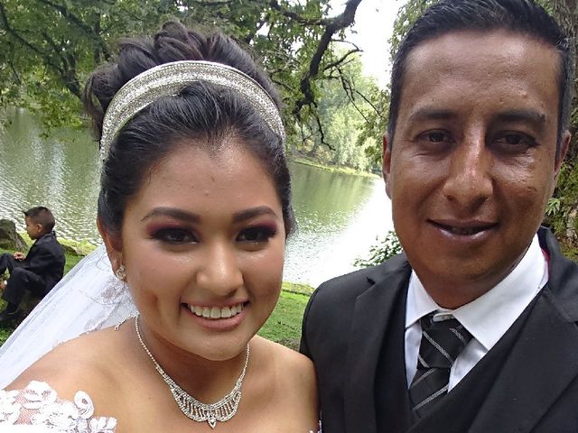 La boda de Luis  y Brenda  en Uruapan, Michoacán 25
