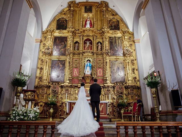La boda de David y Karka en Tlalpan, Ciudad de México 15