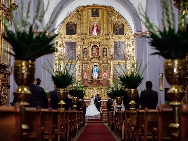 La boda de David y Karka en Tlalpan, Ciudad de México 21