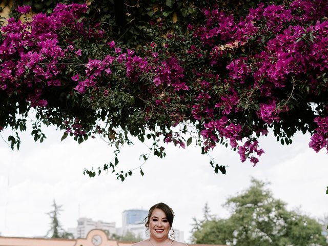 La boda de Héctor y Brenda en Tlalpan, Ciudad de México 50