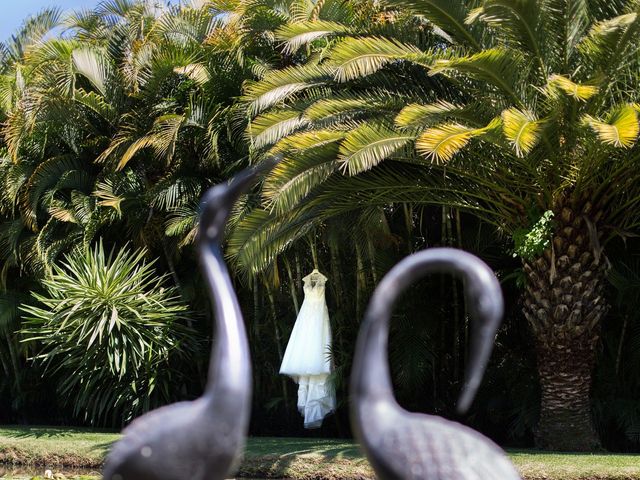 La boda de Mario y Nelly en Cuernavaca, Morelos 6