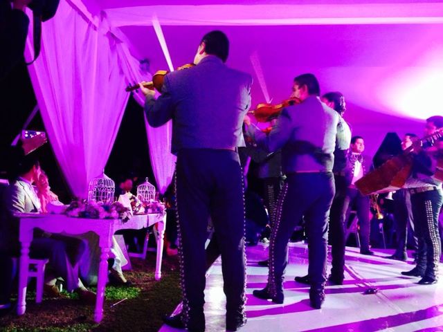 La boda de Manolo y Tere en Tlaquepaque, Jalisco 11