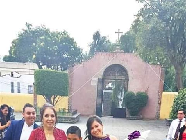 La boda de Carlos y Lina en Xochimilco, Ciudad de México 16