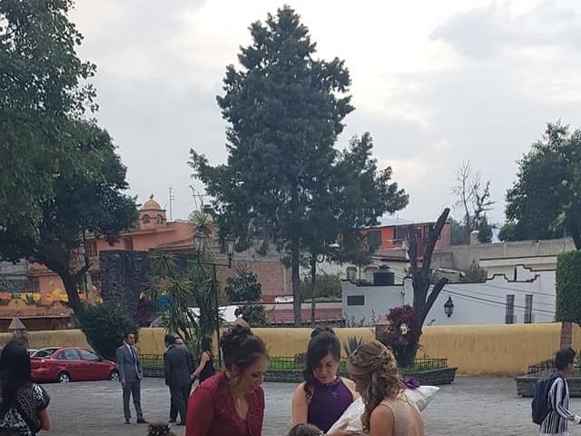 La boda de Carlos y Lina en Xochimilco, Ciudad de México 21