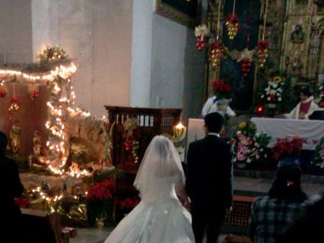 La boda de Andrés y Beatriz en Tlalpan, Ciudad de México 5