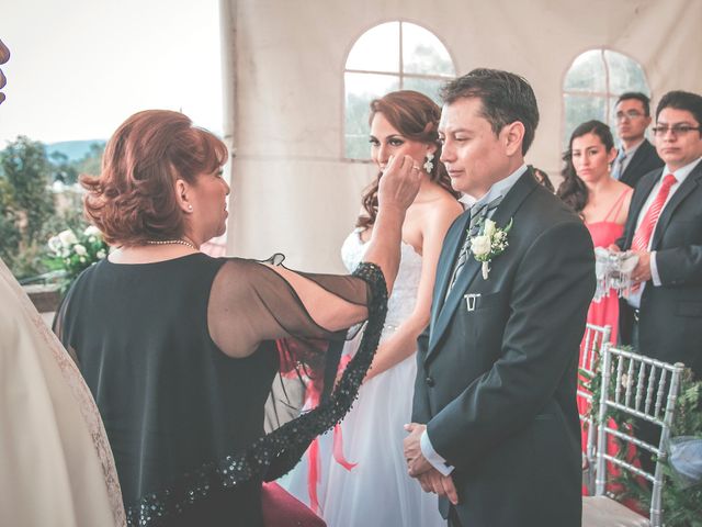 La boda de Alejandro y Viridiana en Tlalpan, Ciudad de México 15