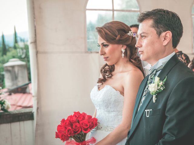 La boda de Alejandro y Viridiana en Tlalpan, Ciudad de México 16