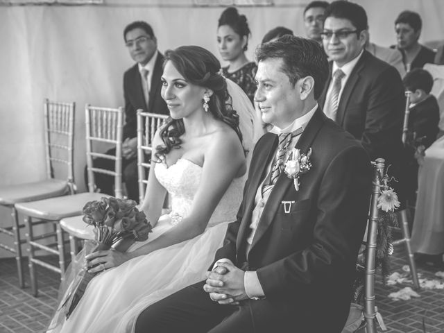 La boda de Alejandro y Viridiana en Tlalpan, Ciudad de México 22