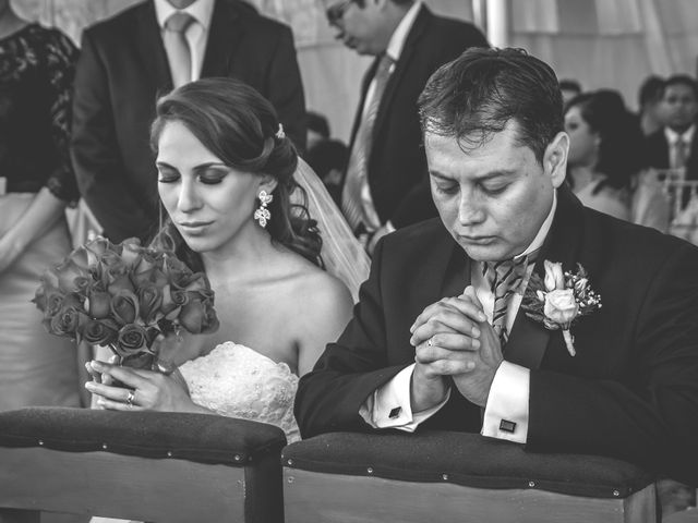 La boda de Alejandro y Viridiana en Tlalpan, Ciudad de México 29