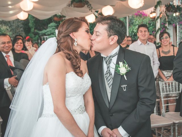 La boda de Alejandro y Viridiana en Tlalpan, Ciudad de México 37
