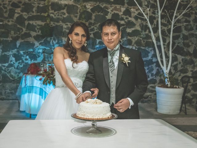 La boda de Alejandro y Viridiana en Tlalpan, Ciudad de México 46