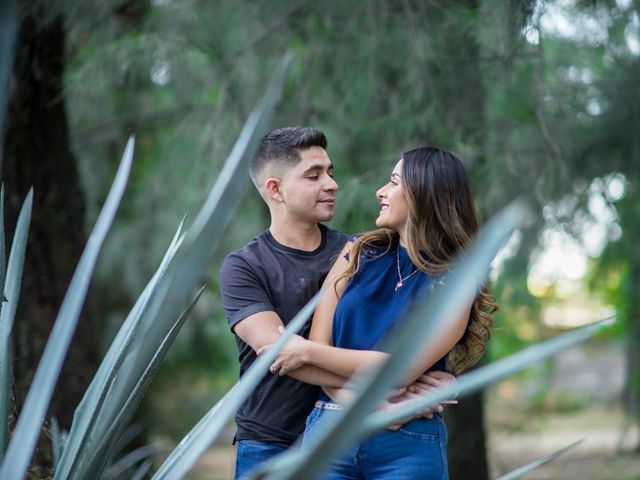 La boda de Ivan y Cinthia en León, Guanajuato 26