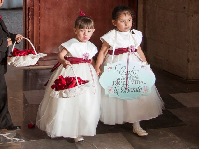 La boda de Carlos y Miriam en Irapuato, Guanajuato 18