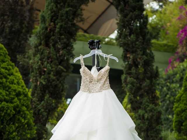 La boda de Estephanie y Diego Amadeus en Miguel Hidalgo, Ciudad de México 4