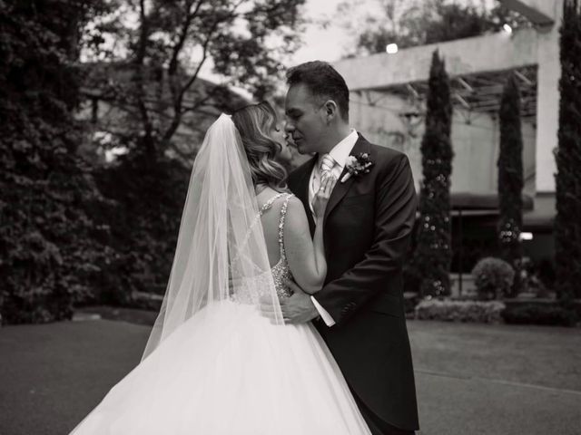 La boda de Estephanie y Diego Amadeus en Miguel Hidalgo, Ciudad de México 24