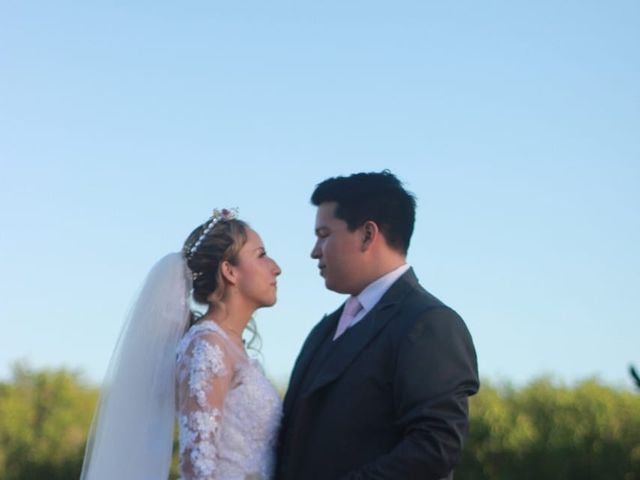 La boda de Alejandro  y Daniela  en Cancún, Quintana Roo 2