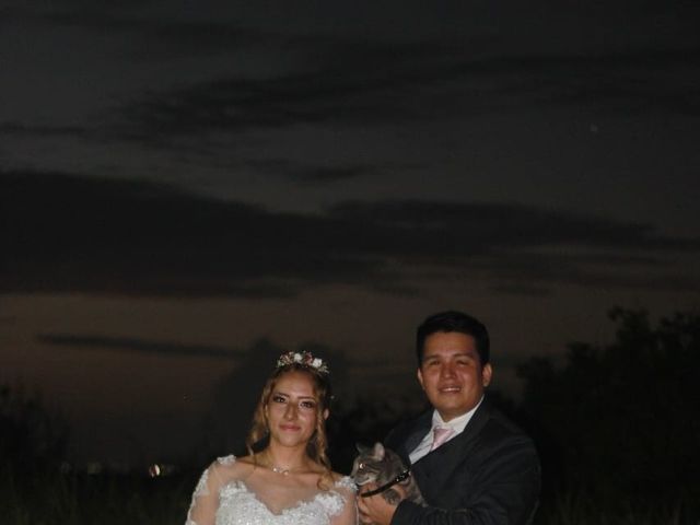 La boda de Alejandro  y Daniela  en Cancún, Quintana Roo 6