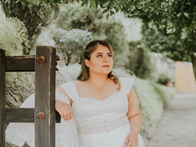 La boda de Víctor y Ixh-tel en Tlalpan, Ciudad de México 15