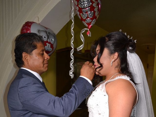 La boda de Omar y Paola en Tehuacán, Puebla 9