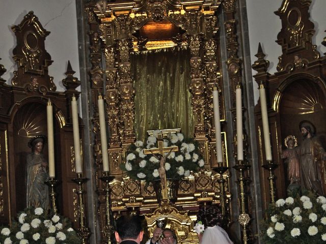 La boda de Sid y Sthella en Coyoacán, Ciudad de México 25
