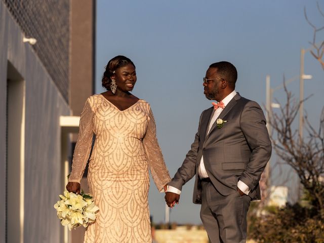 La boda de Ademola y Adeola en Cabo San Lucas, Baja California Sur 9