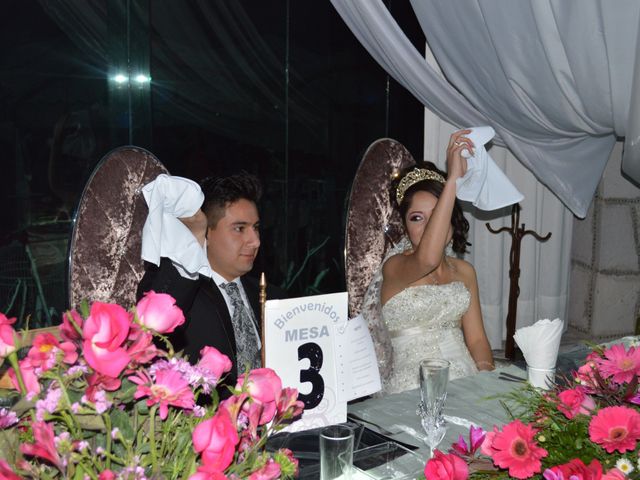 La boda de Alexis y itzel en Tlalpan, Ciudad de México 8
