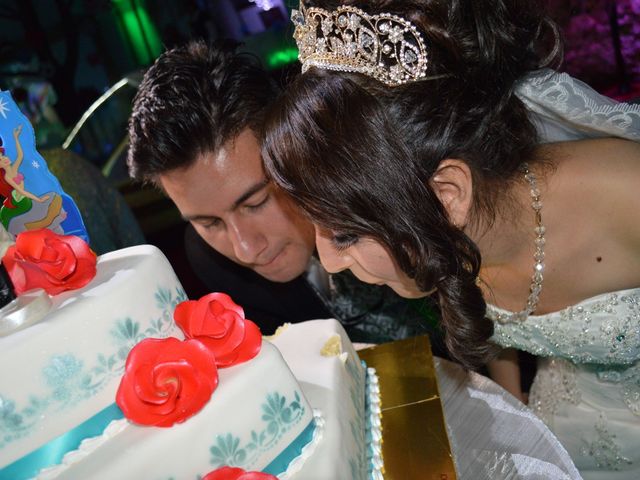 La boda de Alexis y itzel en Tlalpan, Ciudad de México 13