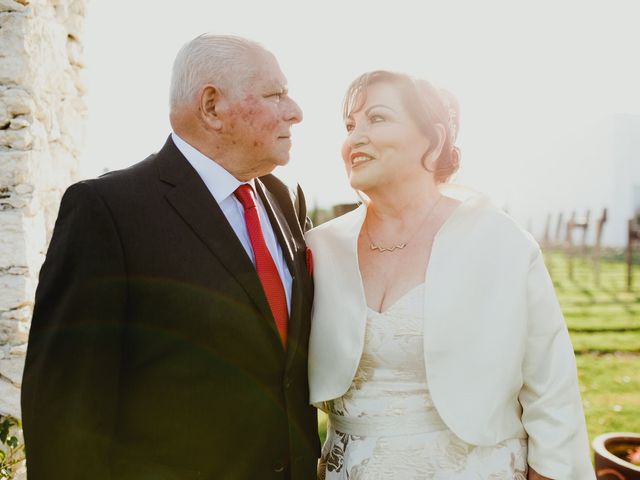 La boda de Jesus y Martha en Tequisquiapan, Querétaro 10