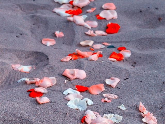 La boda de Juan Carlos y Cynthia en Manzanillo, Colima 5