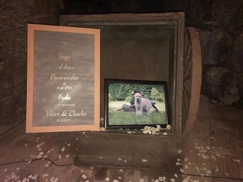 La boda de Víctor  y Claudia  en Huasca de Ocampo, Hidalgo 28