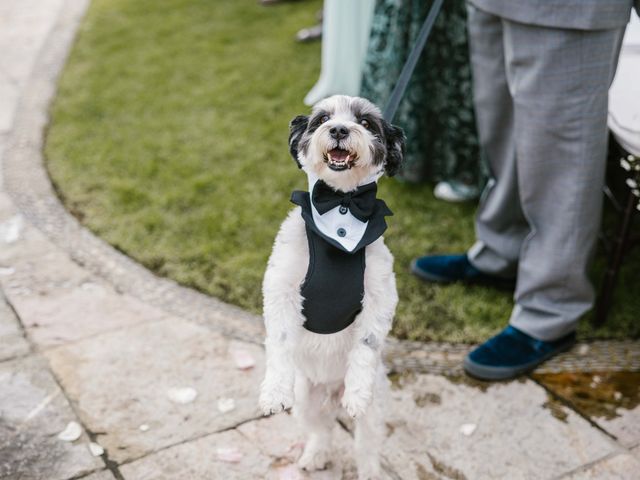 La boda de Miguel y Diana en Cuernavaca, Morelos 44