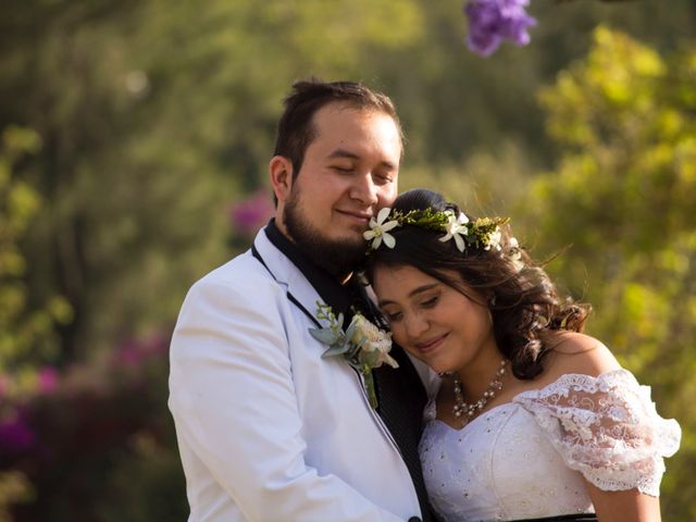 La boda de Luis y Mariana en Azcapotzalco, Ciudad de México 12