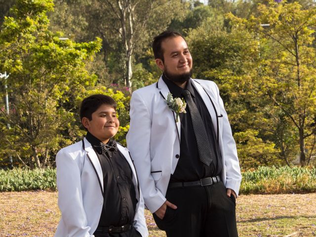 La boda de Luis y Mariana en Azcapotzalco, Ciudad de México 13