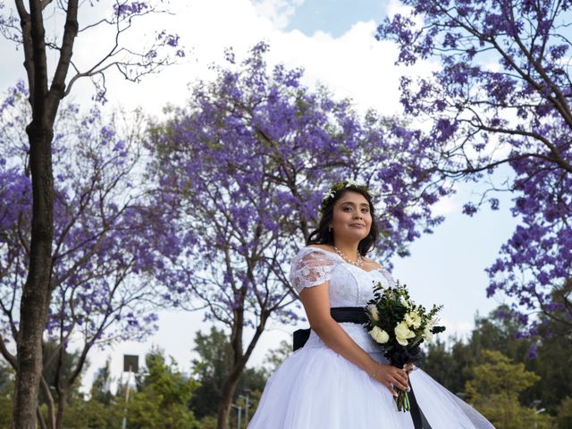La boda de Luis y Mariana en Azcapotzalco, Ciudad de México 16