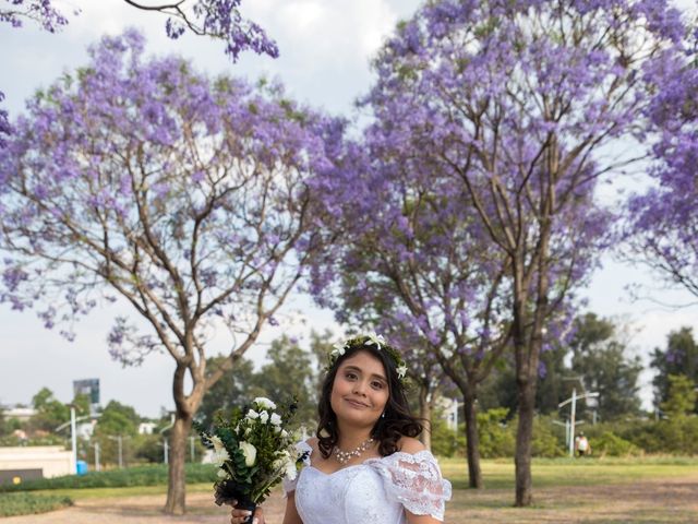 La boda de Luis y Mariana en Azcapotzalco, Ciudad de México 18