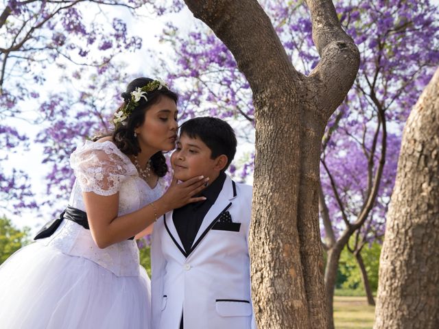 La boda de Luis y Mariana en Azcapotzalco, Ciudad de México 20