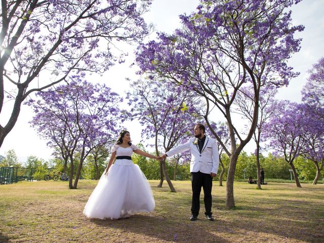 La boda de Luis y Mariana en Azcapotzalco, Ciudad de México 21