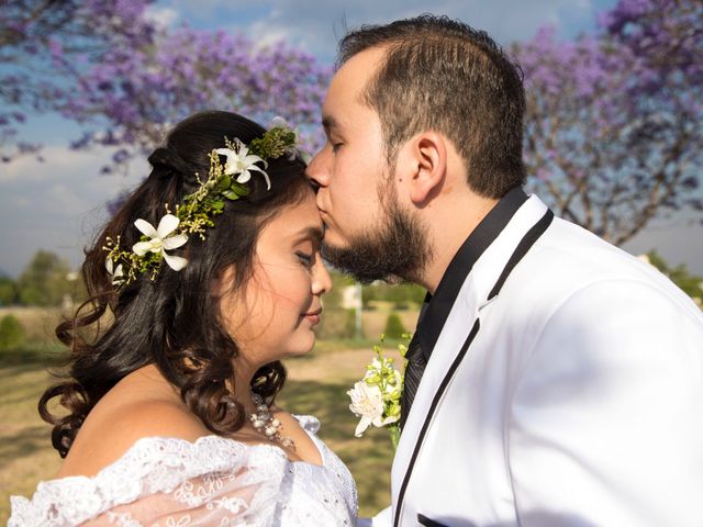 La boda de Luis y Mariana en Azcapotzalco, Ciudad de México 23