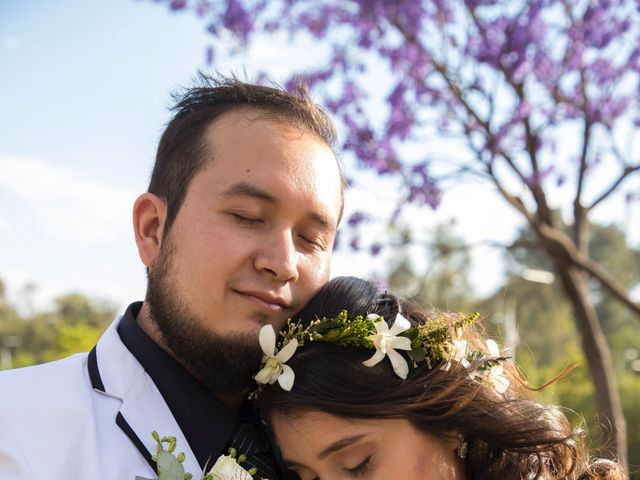 La boda de Luis y Mariana en Azcapotzalco, Ciudad de México 24