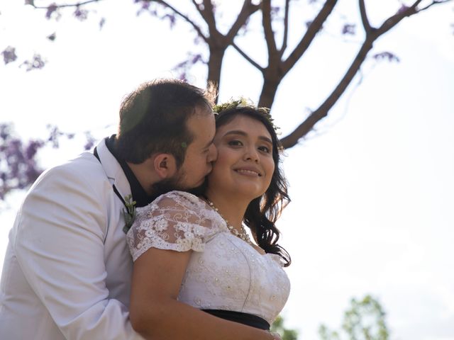La boda de Luis y Mariana en Azcapotzalco, Ciudad de México 26